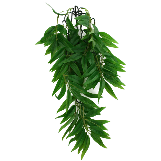 Komodo Bamboo Plant 24"