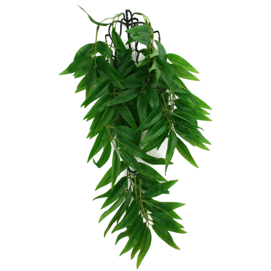 Komodo Bamboo Plant 24"