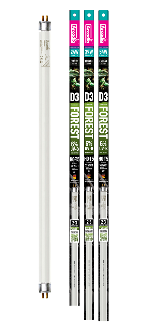 Arcadia D3 Forest 6% T5HO Lamp