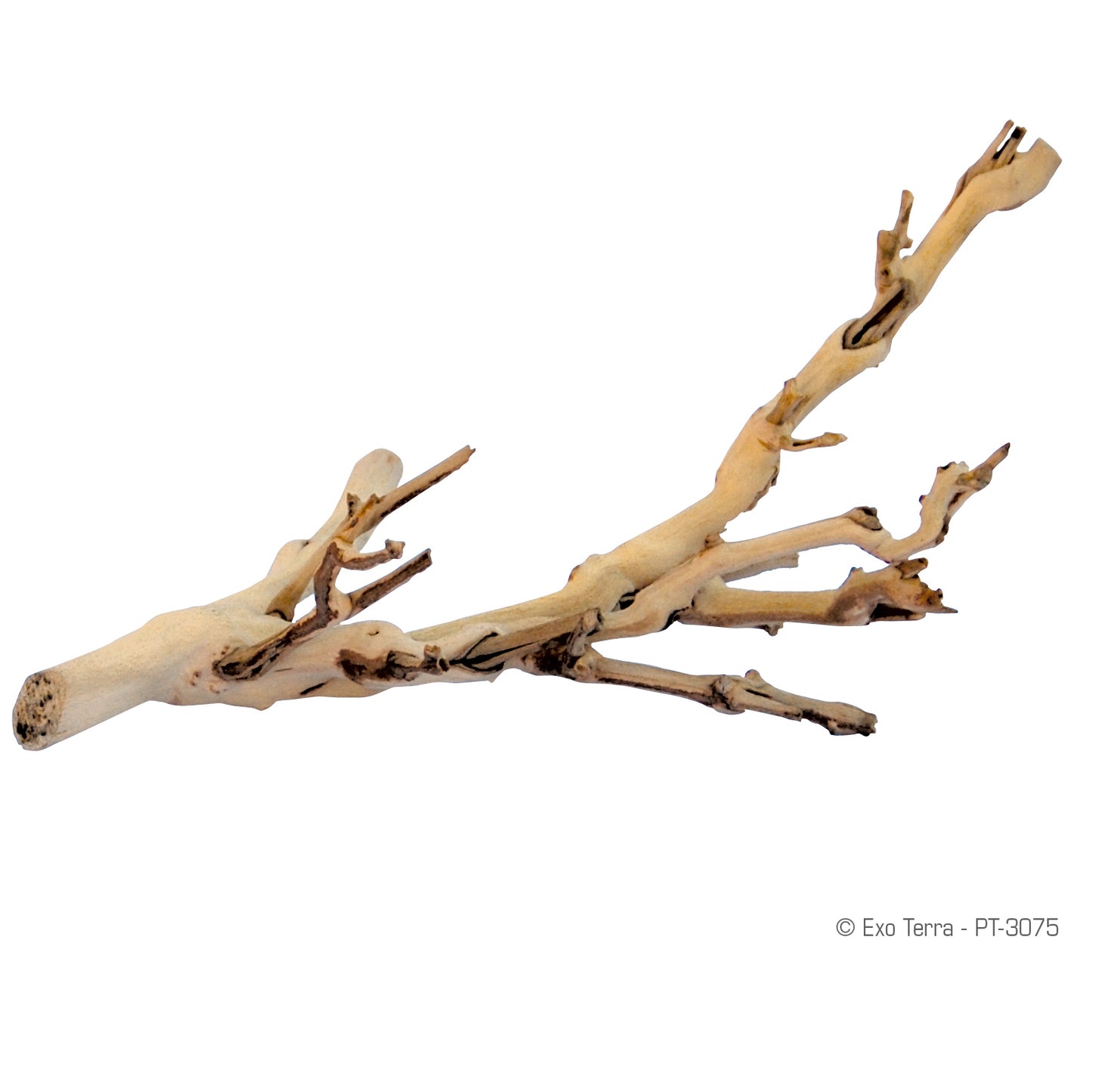 Exo Terra Forest Branch