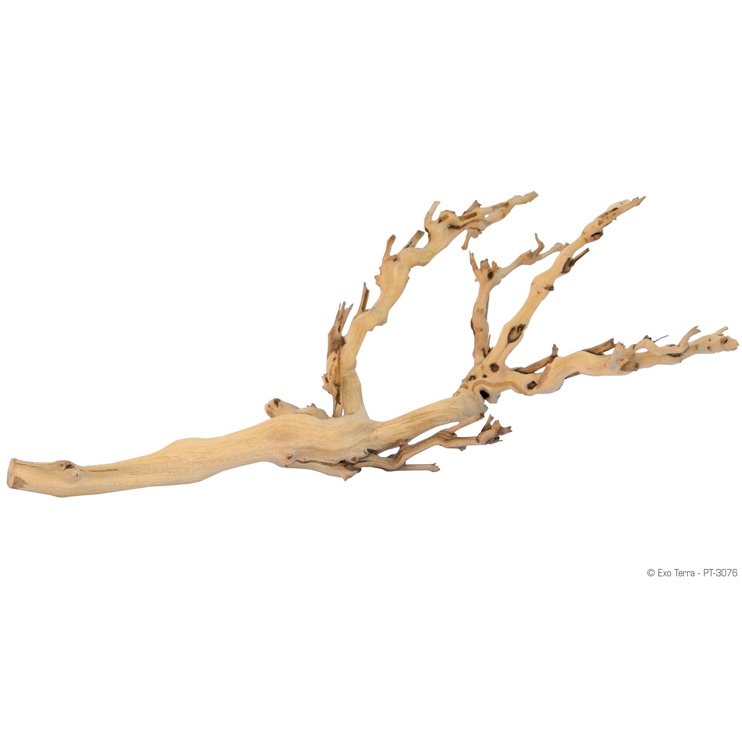 Exo Terra Forest Branch