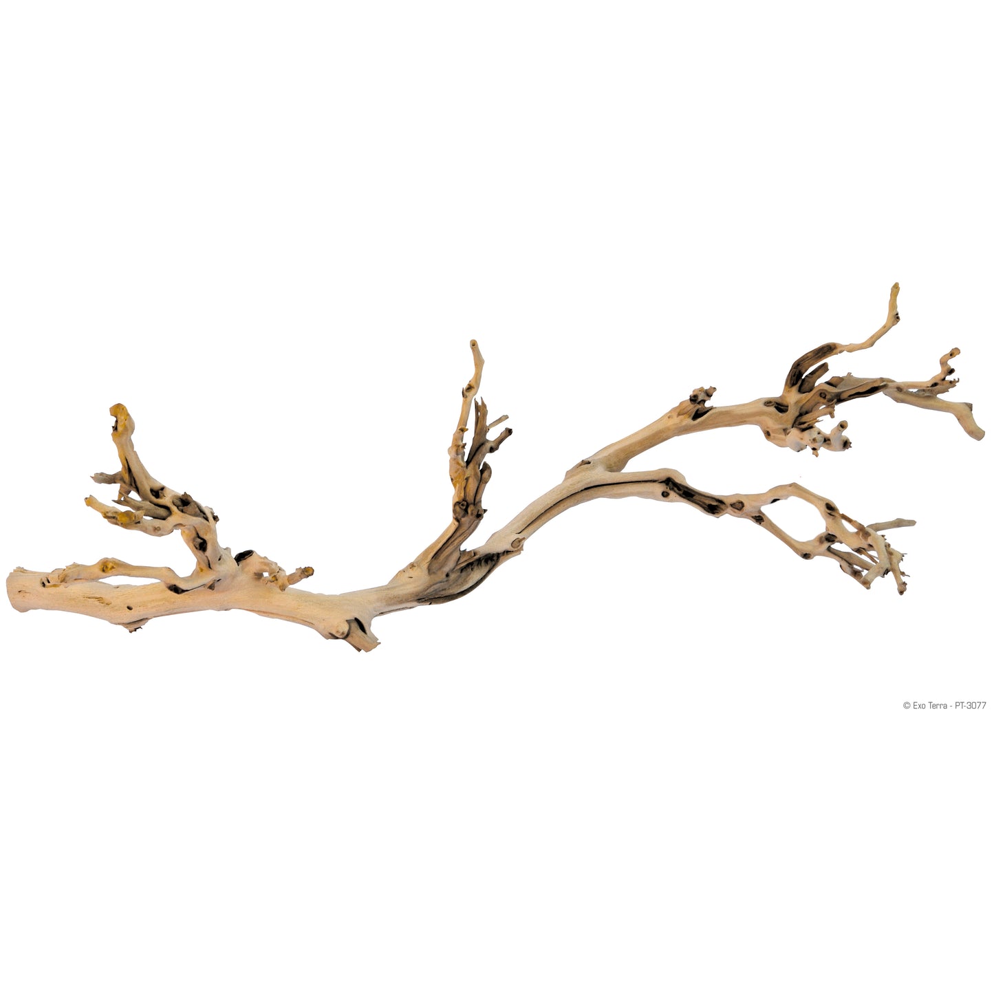 Exo Terra Forest Branch