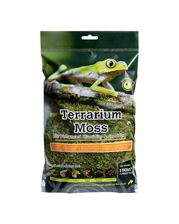 Pillow Moss Mini Bag – Reptilesonline
