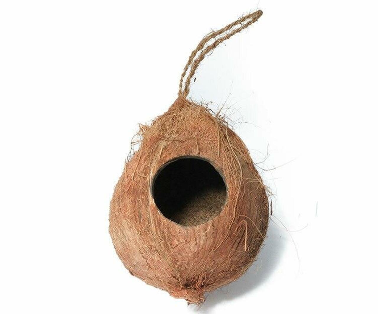 Hanging Coconut Reptile Hide 1 Hole