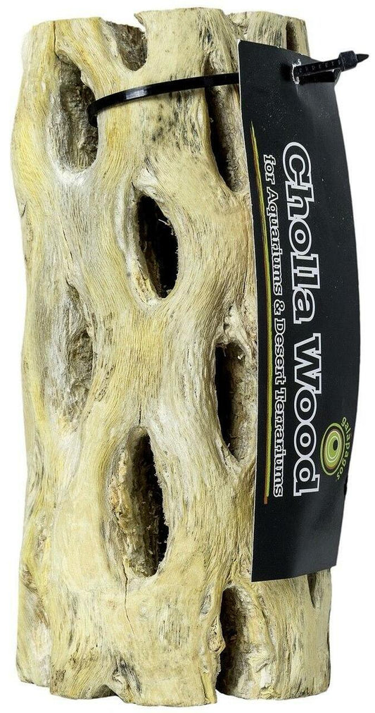 Galapagos Cholla Wood Branches 12"