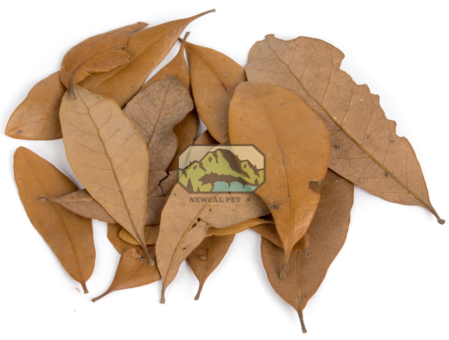 NewCal Live Oak Leaf Litter 1.5oz