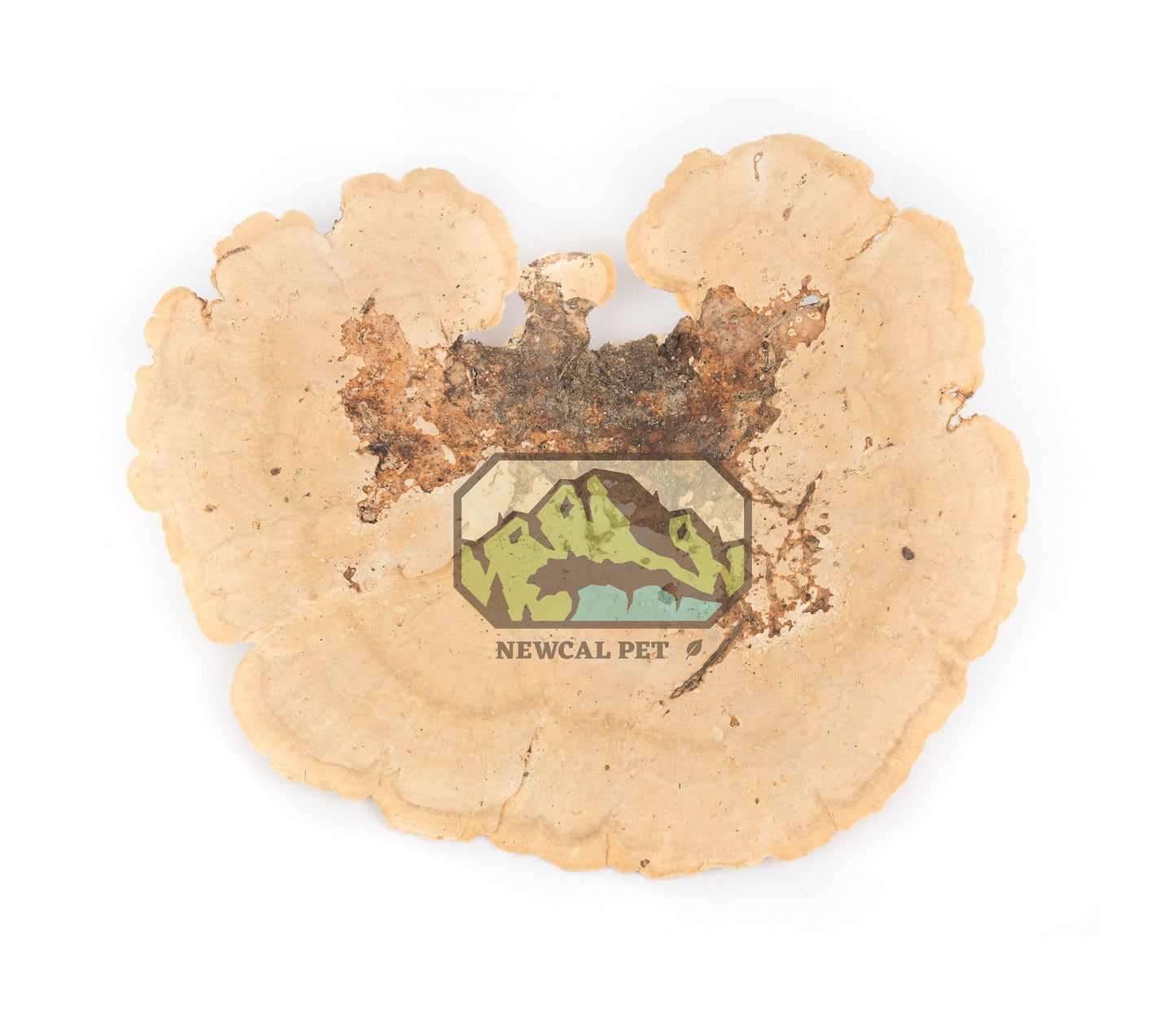NewCal Sponge Mushroom - 2 Pack