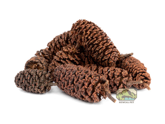 NewCal Alder Cones - 1oz