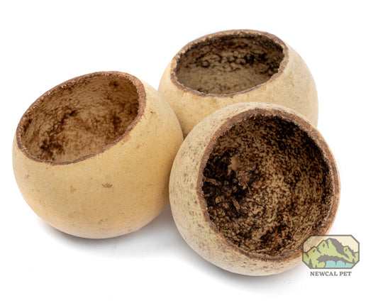 NewCal Bell Cups - 3 Pack