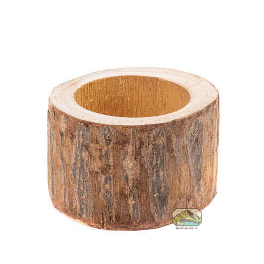 NewCal Pauwlonia Tree Pot