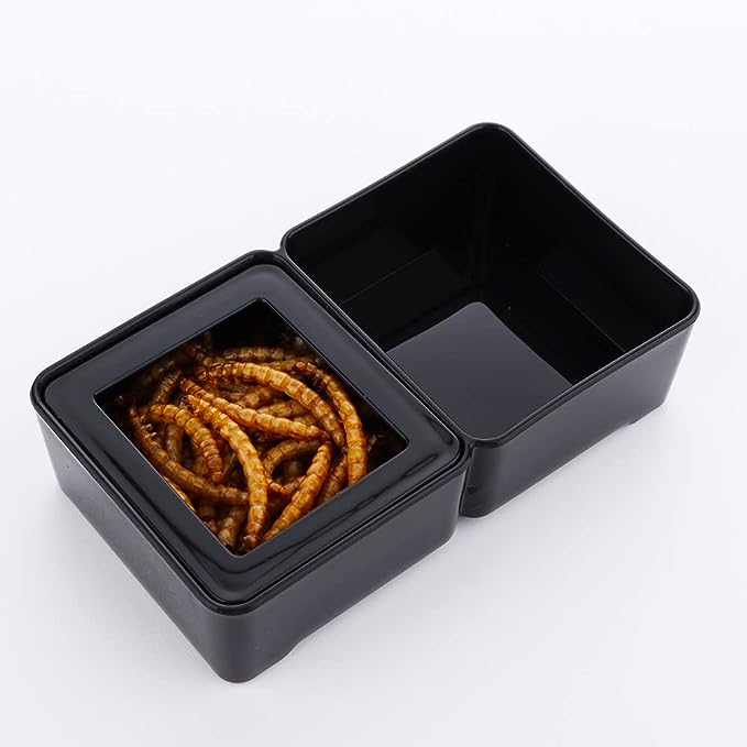 Black Water/Mealworm Dish