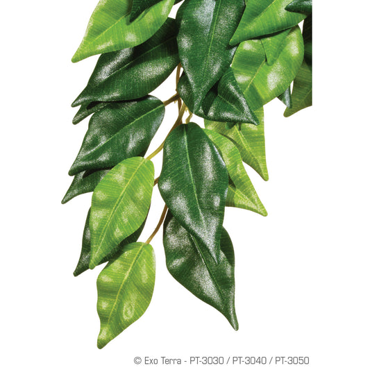Exo Terra Silk Plant - Ficus - Medium