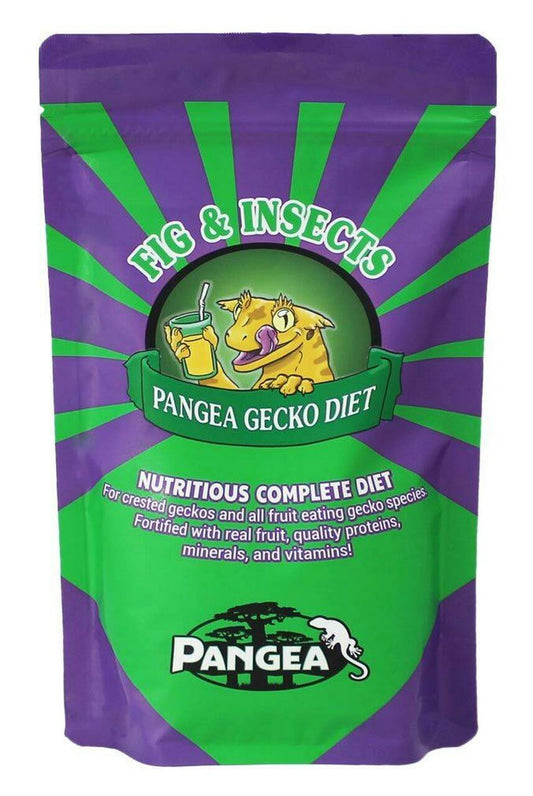 Pangea Fig