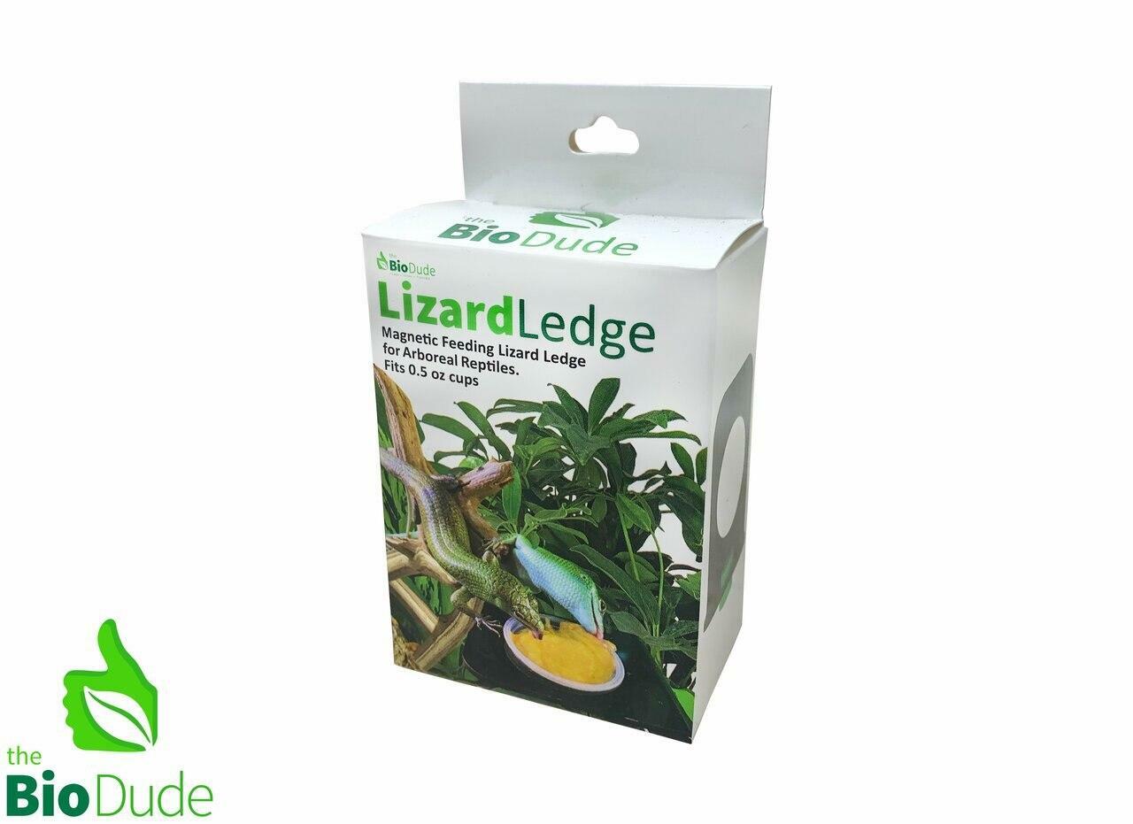 BioDude Magnetic Lizard Gecko Feeding Ledge .5oz Single